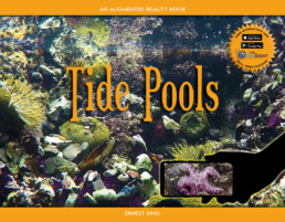 Tide Pools: An Augmented Reality Book