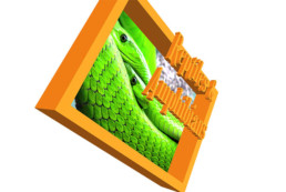 Reptiles & Amphibians Book - AR Cover
